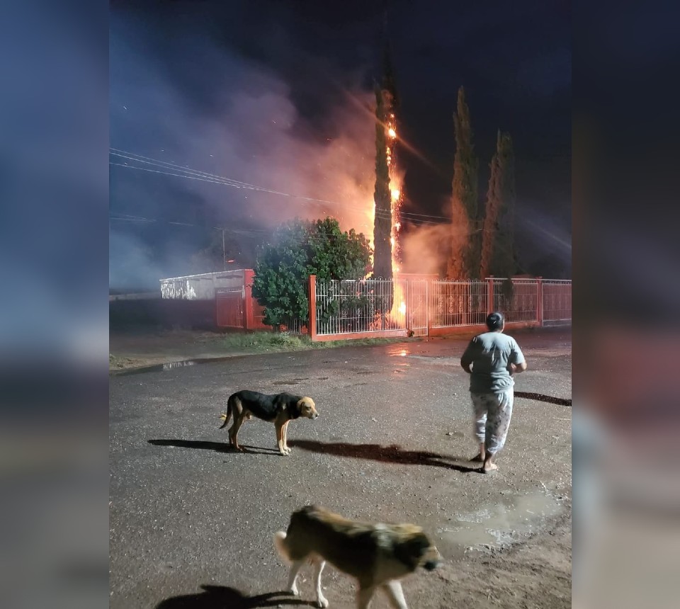 El pino que prendió en llamas en San Pedro se encontraba en el patio de un domicilio | Especial