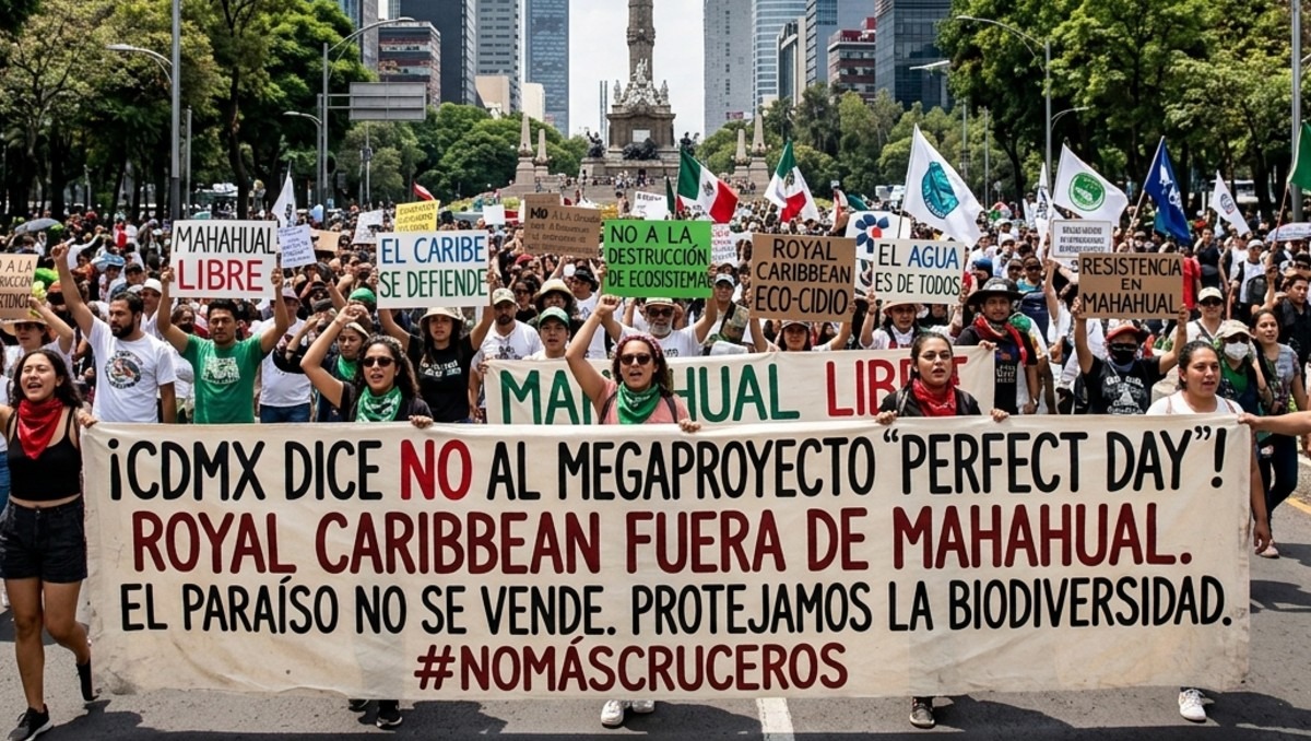 El proyecto de Royal Caribbean en Quintana Roo ha causado diferentes protestas | IA Discover