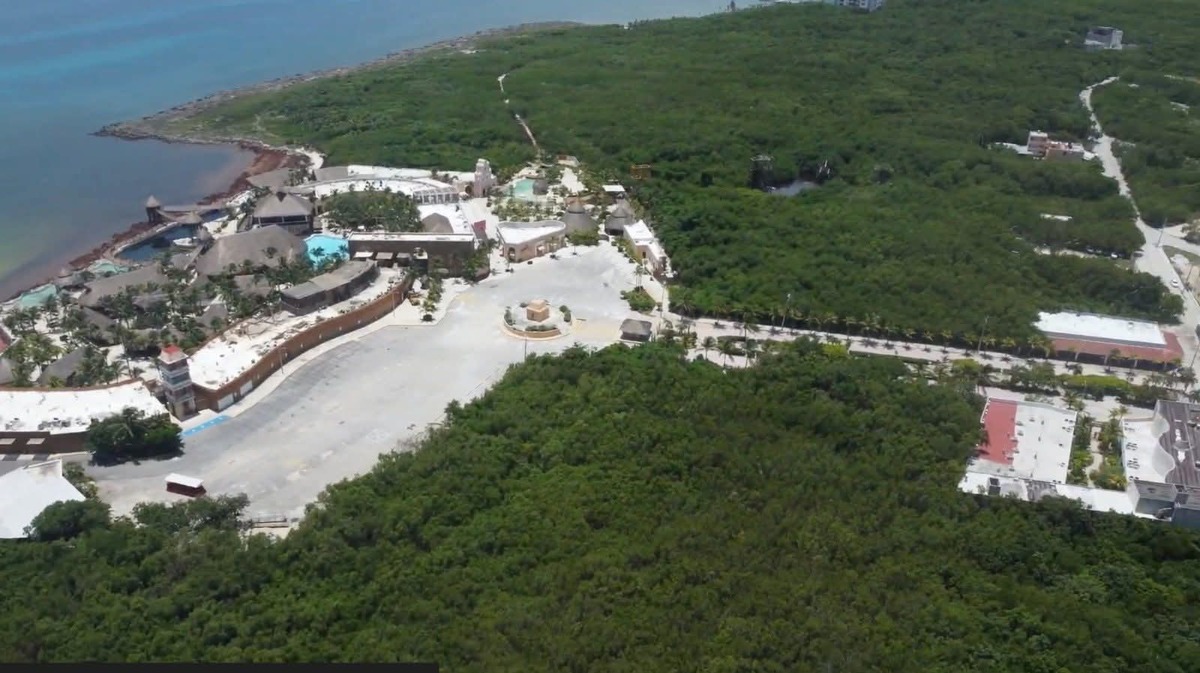Sheinbaum advirtió que no puede autorizarse ningún proyecto que represente daños al sistema arrecifal del Caribe mexicano. | Foto: Especial