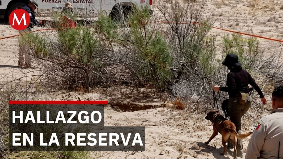 Alerta en Mexicali: Suman 38 restos localizados tras el hallazgo de una nueva fosa clandestina
