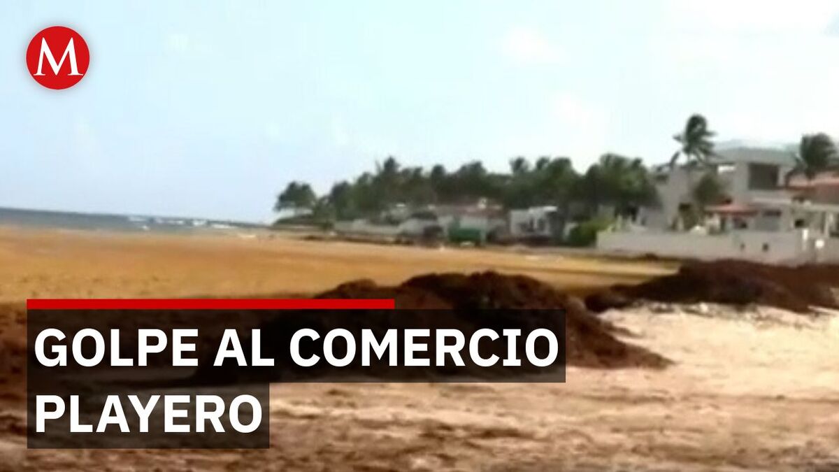 Cómo el arribo masivo de macroalgas destruye el patrimonio de los trabajadores locales
