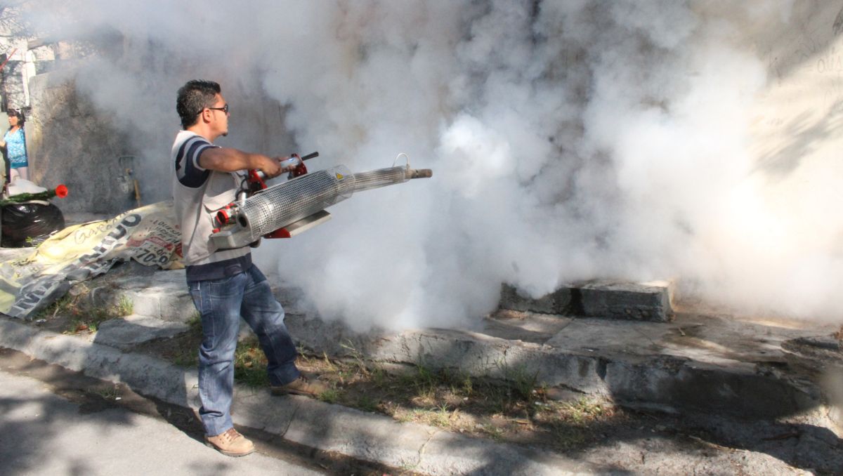 El Comité Nacional para la Vigilancia Epidemiológica aún no confirma las muertes por dengue | Leonel Rocha