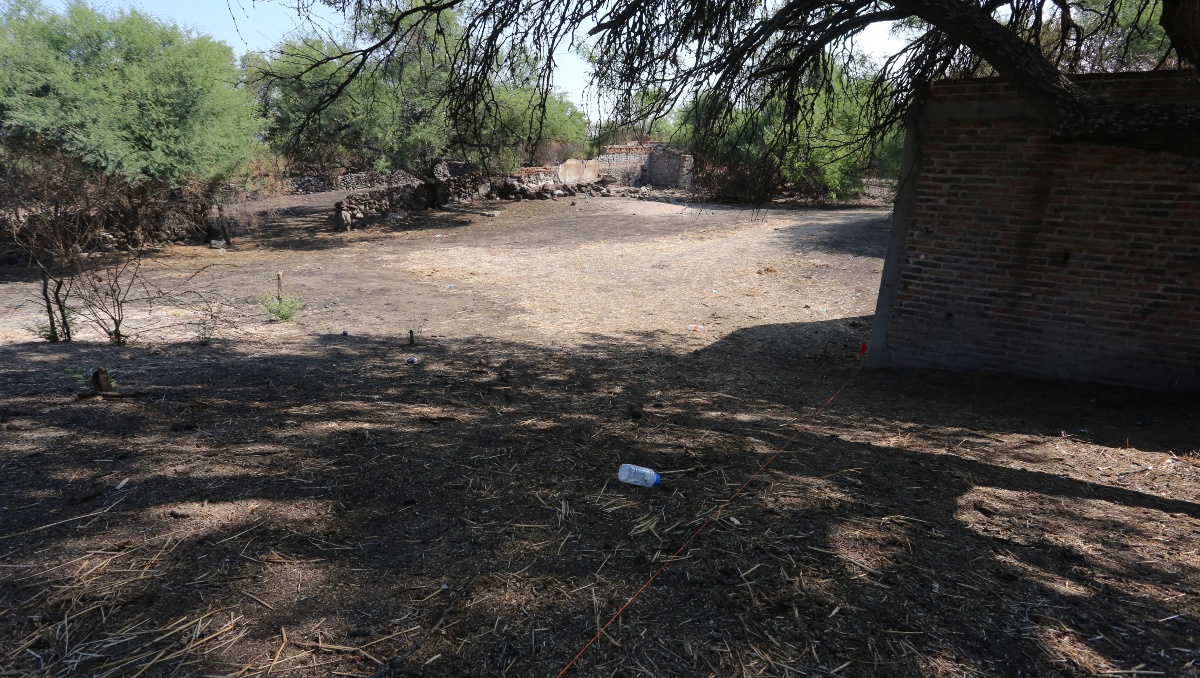 Se identificaron al menos 15 puntos distintos con fragmentos óseos esparcidos en el terreno (Foto: Dany Béjar)