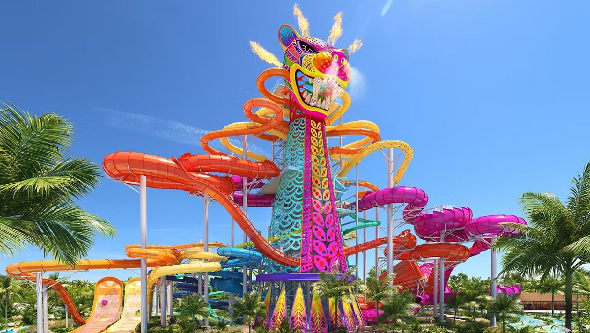 Proyecto Perfect Day amenaza con destruir los manglares de la playa en Chetumal. | Foto: Royal Caribbean