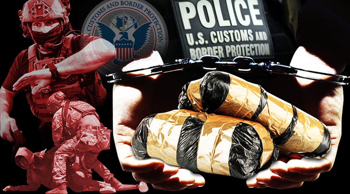 En 2025 se reportaron 256 arrestos de integrantes de la CBP. | Diseño: MILENIO