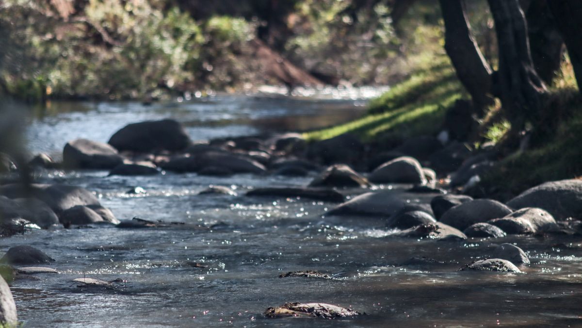 Río Atoyac arrastra petróleo e hidrocarburos | Agencia EsImagen