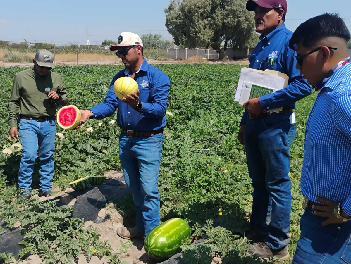Estudiantes y productores conocieron nuevas variedades hortícolas y tecnologías para el uso eficiente del agua.| Especial.
