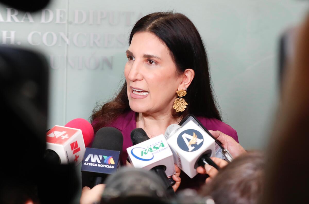 López Rabadán reconoció que el crimen organizado ha permeado en todos los partidos políticos. | Foto: Especial