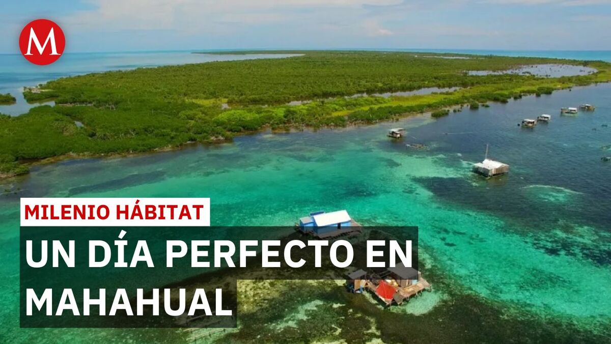 Así es un auténtico día perfecto y sustentable en Mahahual | Milenio Hábitat