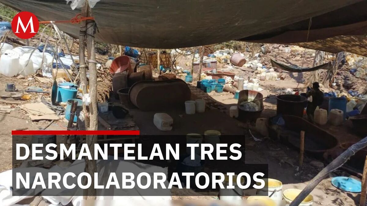 Caen tres narcolaboratorios ligados a `Los Mayos´