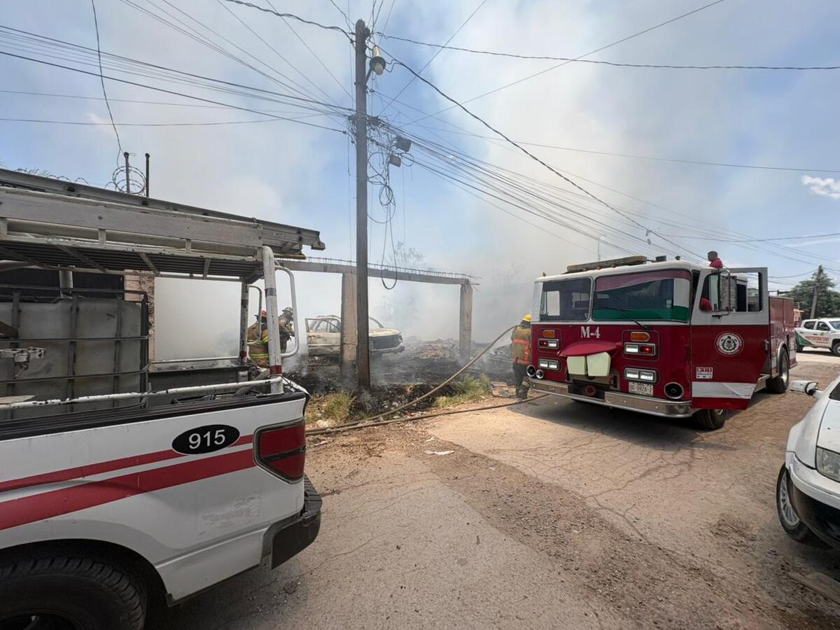 En Gómez Palacio, registran hasta seis incendios de maleza diarios. | Especial
