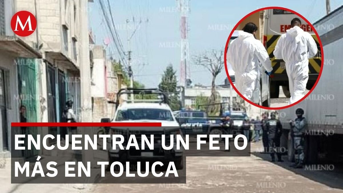 Localizan feto en Toluca; van tres casos en una semana