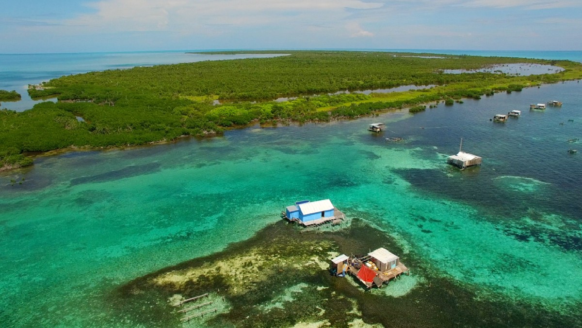 En Mahahual se ubica la Reserva de la Biosfera Banco Chinchorro. | Foto: Conanp