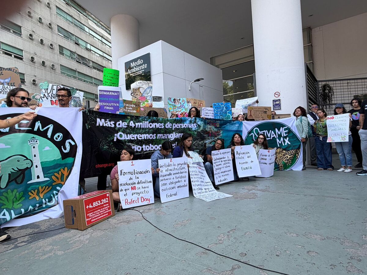 Con 4.8 millones de firmas, Mahahual se convierte en símbolo de defensa ambiental | Especial