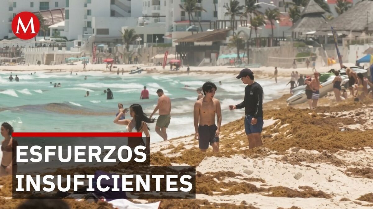 Pese a recolectar 42 mil toneladas, las playas lucen cubiertas por la mancha marrón