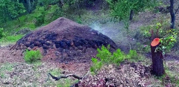 En uno de sus recorridos, los pobladores detectaron un montículo en cuyo interior aún se cocía la madera. Especial