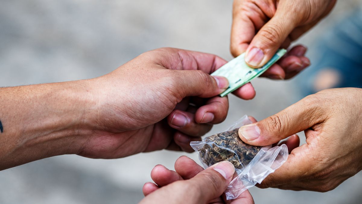 El reporte federal ubicó a la entidad en los primeros sitios del país por comercio, narcomenudeo, tráfico, producción y transporte | Especial