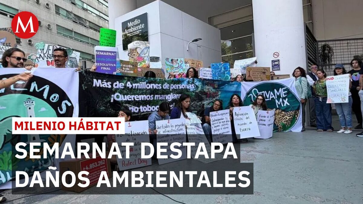 “Salvemos Mahahual” exige resolutivo de cancelación del proyecto 'Perfect Day' | Milenio Hábitat