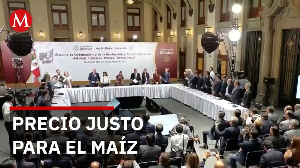 Sheinbaum firma acuerdo con productores para garantizar precio justo al maíz blanco