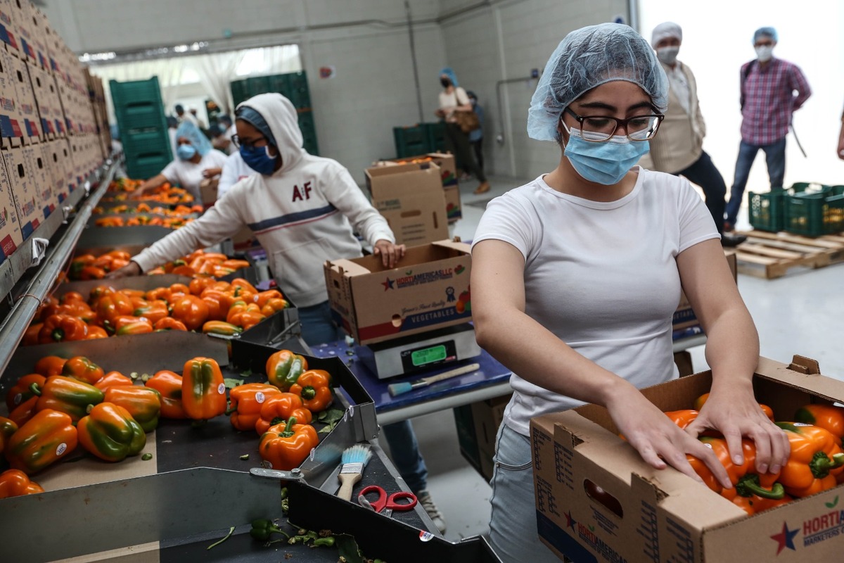 Se implementaron 15 Podecobi en diversos estados del país. | Foto: Octavio Hoyos