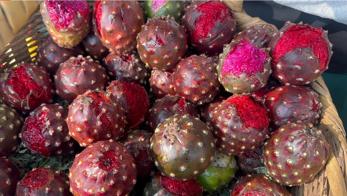 La pitaya viaja en canastas, sobre camas de alfalfa, como una reina que sabe que su reinado es breve (Foto: Tony Martínez)