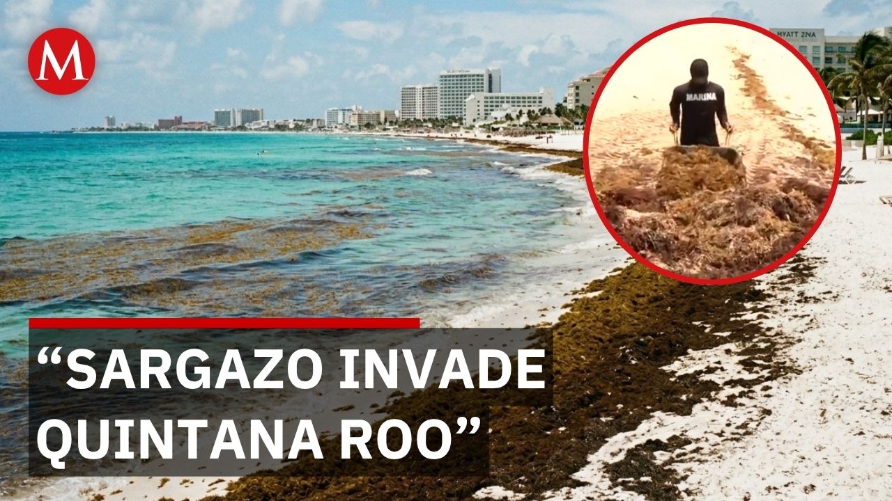Sargazo golpea al turismo en Quinta Roo