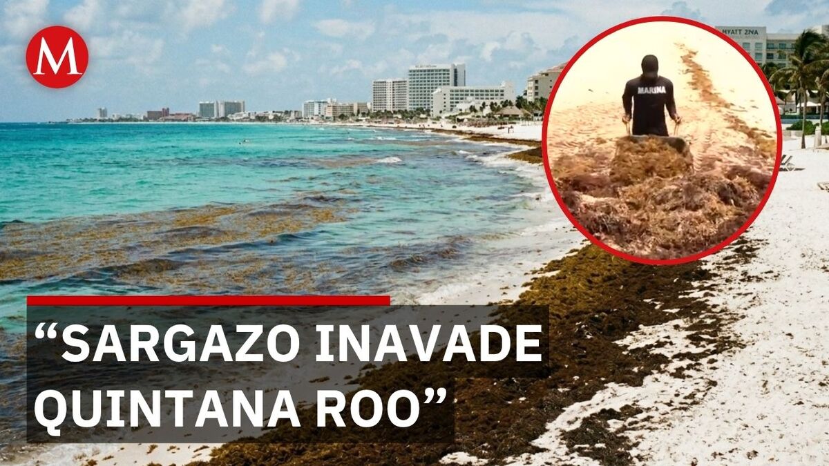 Sargazo invade Quintana Roo y golpea al turismo