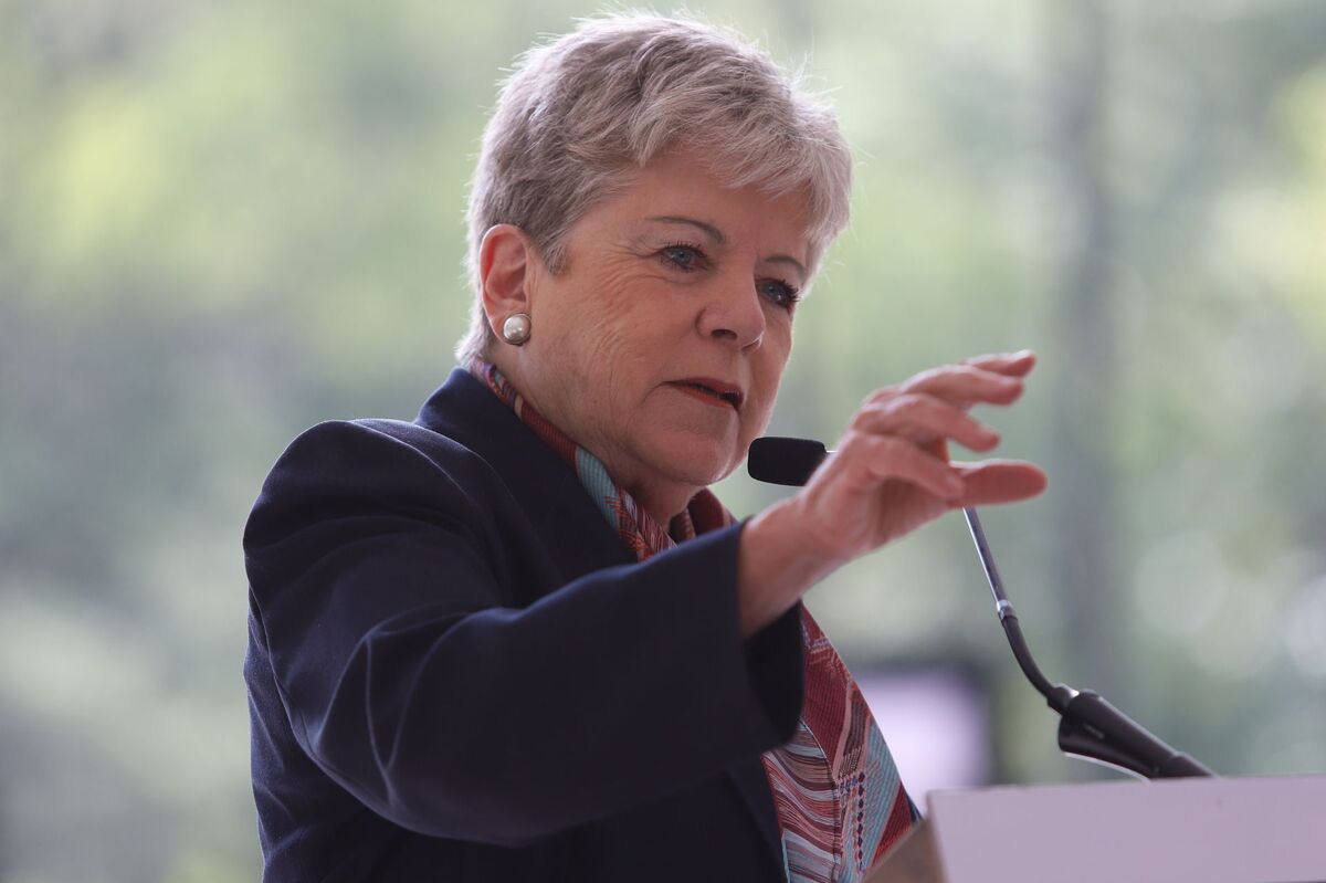 La titular de la Semarnat, Alicia Bárcena, aseguró que el proyecto no se aprobará. | Foto: Cuartoscuro