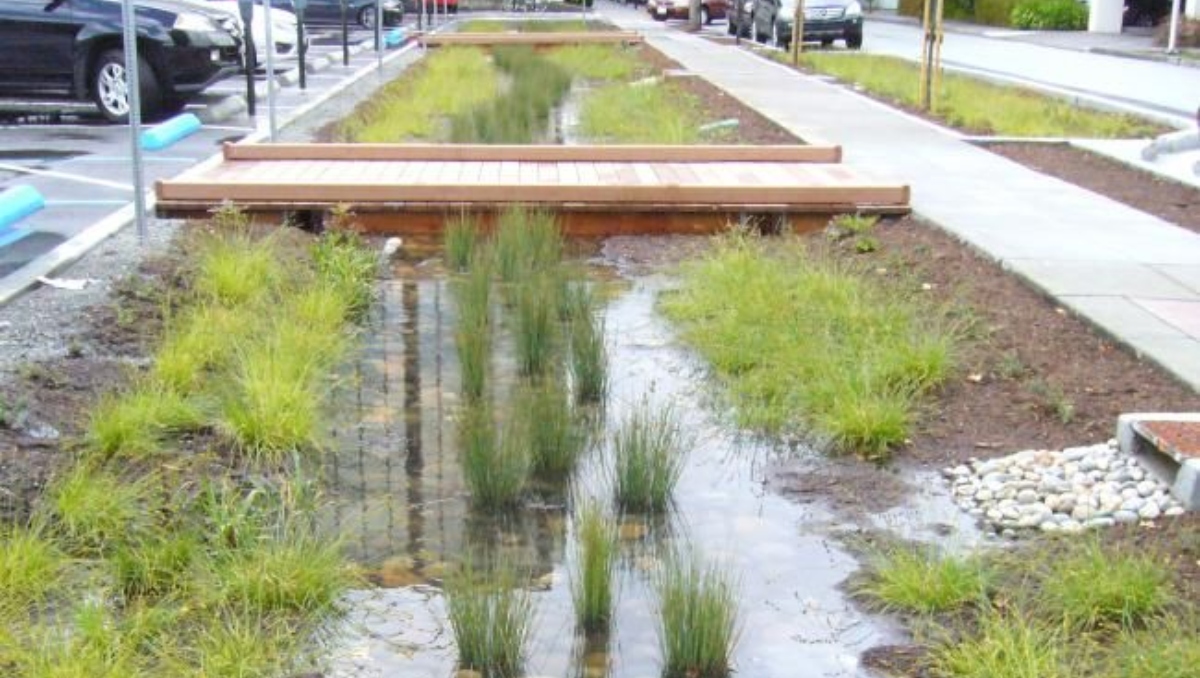 Jardines de lluvia contra las inundaciones