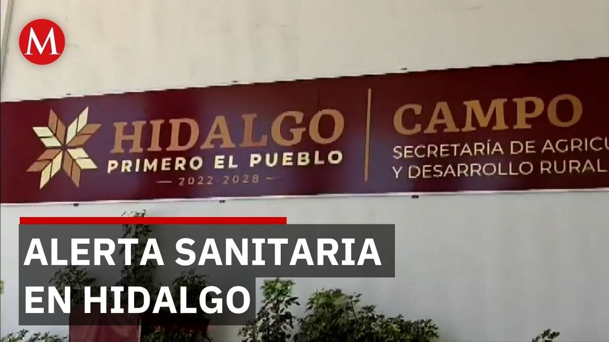 Confirman primer caso de gusano barrenador en Atotonilco de Tula, Hidalgo