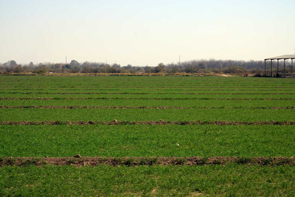 El recurso será destinado a la reparación de una noria para garantizar el abastecimiento de agua en las cosechas del sector agrícola.| Rolando Riestra