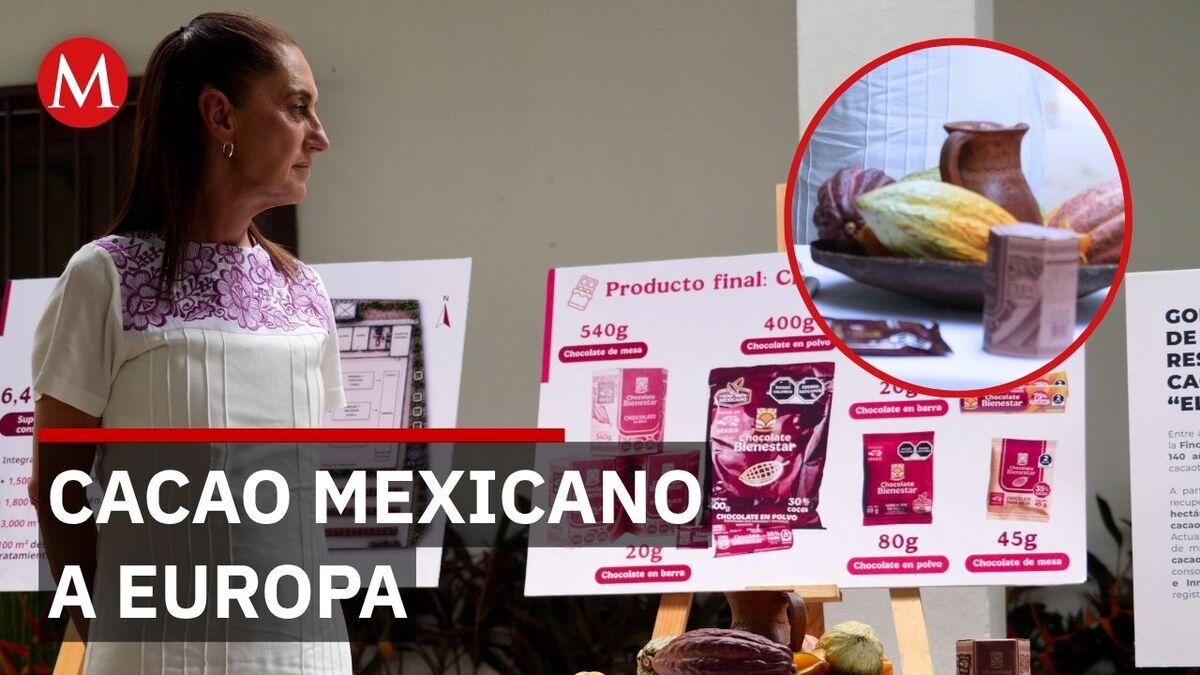 Sheinbaum asegura que acuerdo con la UE beneficiará al cacao mexicano