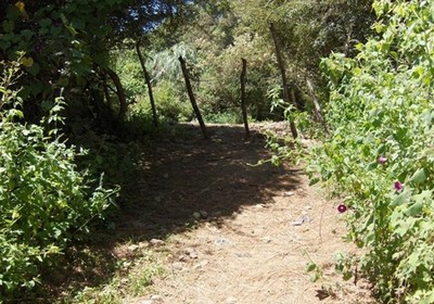 Cerca de troncos de madera, oculta entre vegetación, que limita el paso. | Foto: Especial