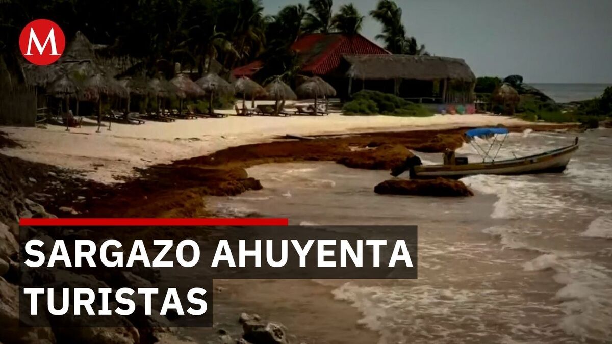 Tulum enfrenta baja turística y fuerte llegada de sargazo en Quintana Roo