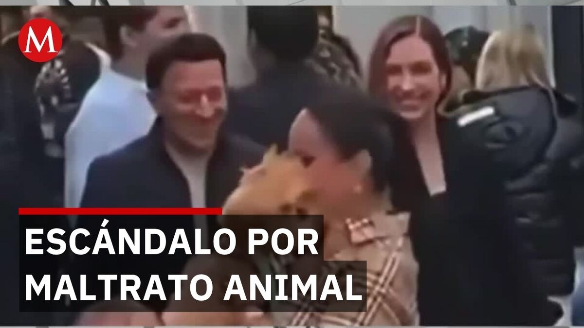 "La abogada de las estrellas" captada en video sacudiendo a un perrito