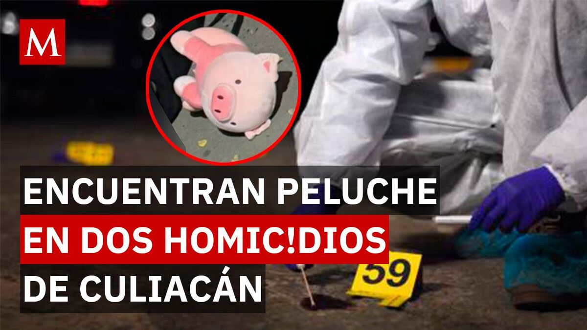 ¿Nuevo código? El misterio del puerquito rosa que desata el terror tras crímenes en Culiacán