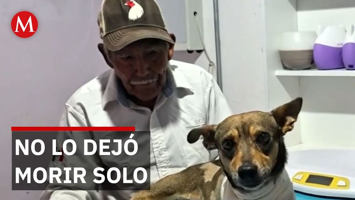 Don Felipe se negó a perder a 'Maylo' tras brutal atropello, en Pachuca, Hidalgo