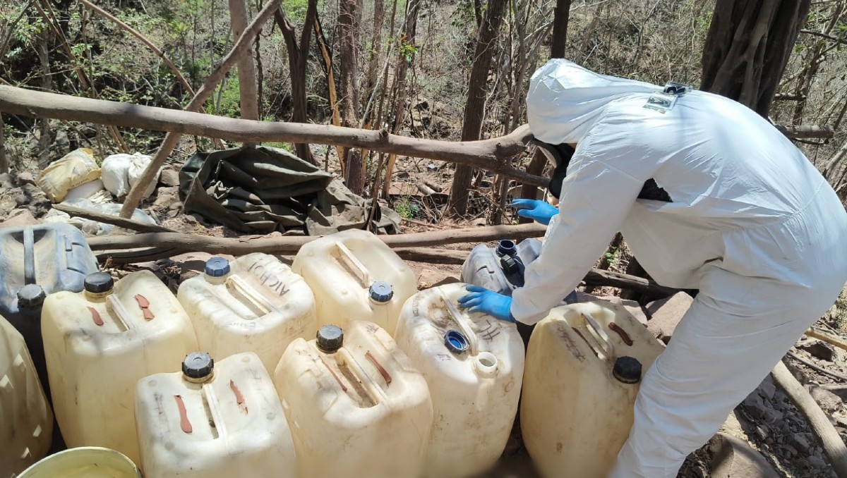 Las acciones contra la droga han reducido un 35 por ciento las muertes por sobredosis en EU | Foto: Especial