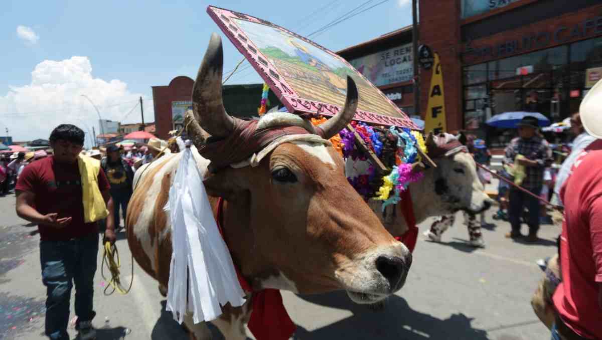 Cientos de carros alegóricos recorren Metepec durante la tradicional festividad dedicada a San Isidro Labrador. Foto: Tania Contreras