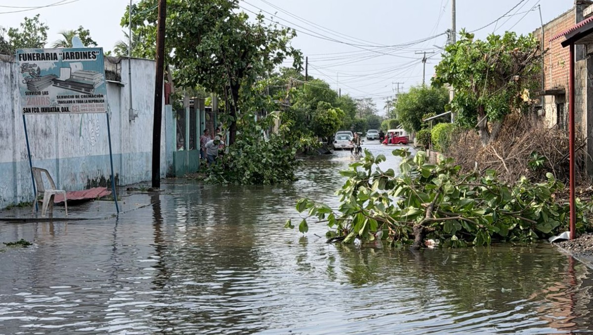 Se estableció contacto inmediato con las autoridades locales. | Foto: Especial