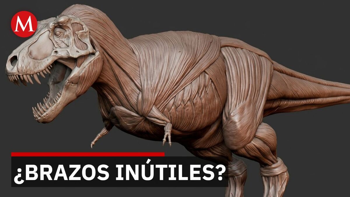 El T-Rex no era defectuoso: Científicos revelan el verdadero propósito de sus brazos cortos
