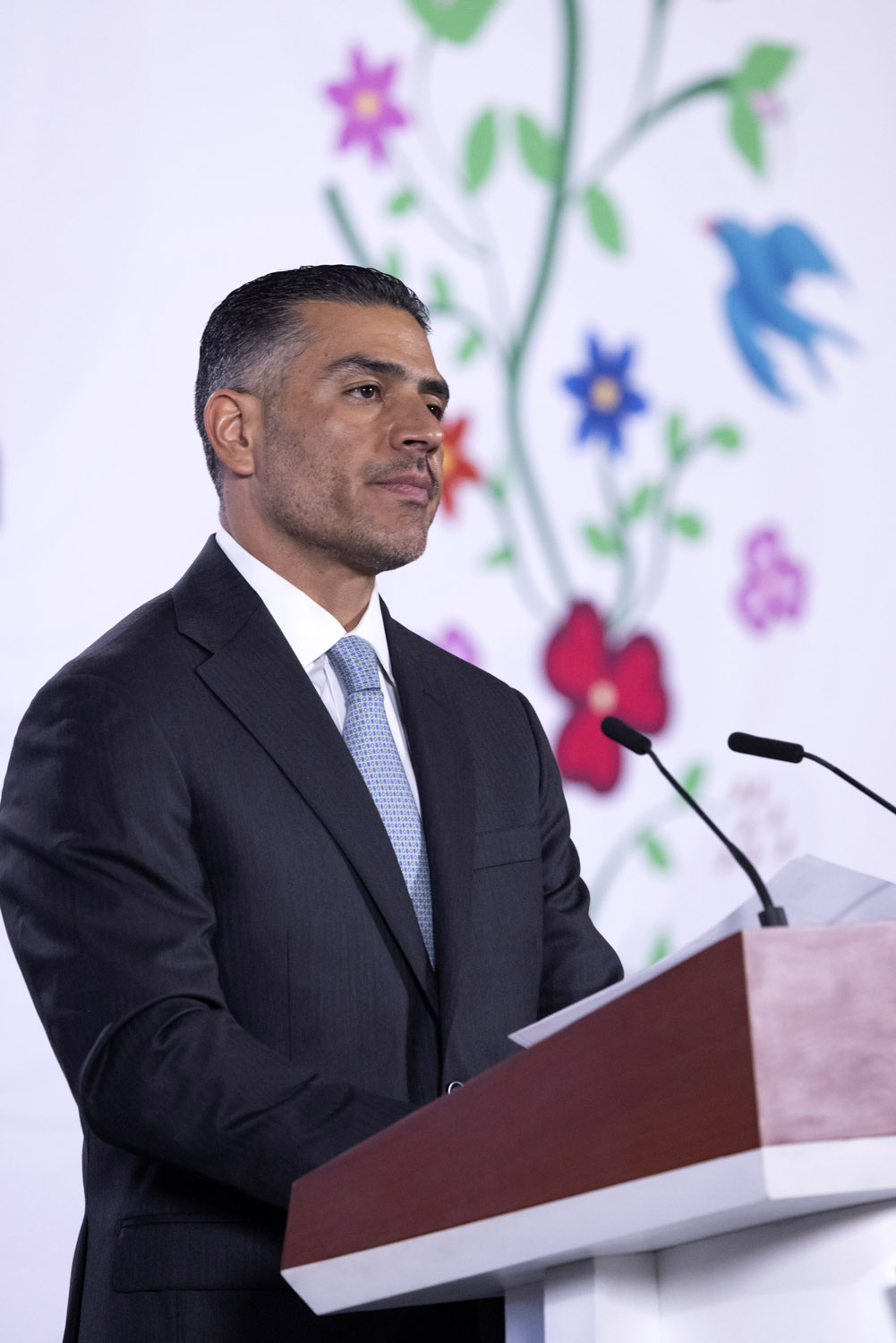 Harfuch señaló los avances de la Estrategia Nacional de Seguridad. | Foto: Presidencia
