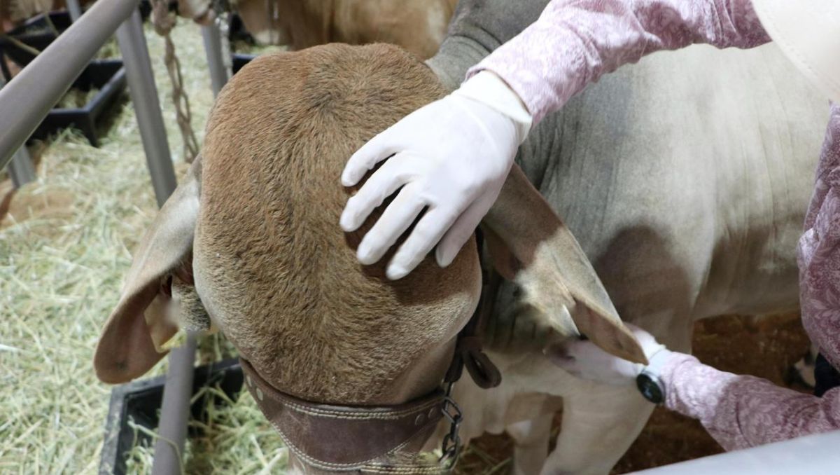 Nuevo León se colocó por segundo día consecutivo como el octavo estado con más contagios | Especial