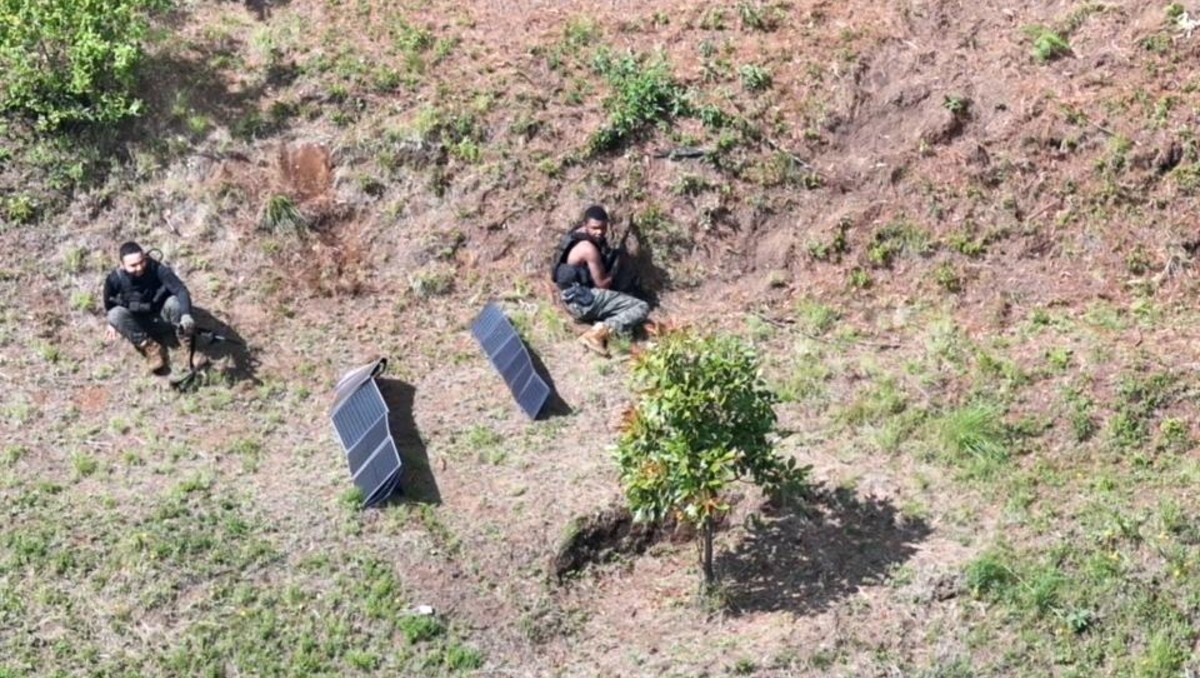 MILENIO obtuvo imágenes donde se observa a hombres moviéndose entre las huertas de aguacate. | Foto: Especial