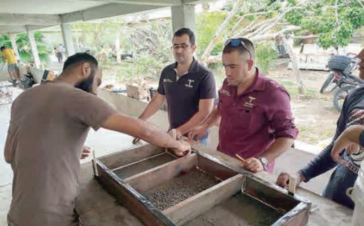 Preparan siembra en granjas de Aldama, Soto la Marina, San Fernando y Matamoros. ESPECIAL