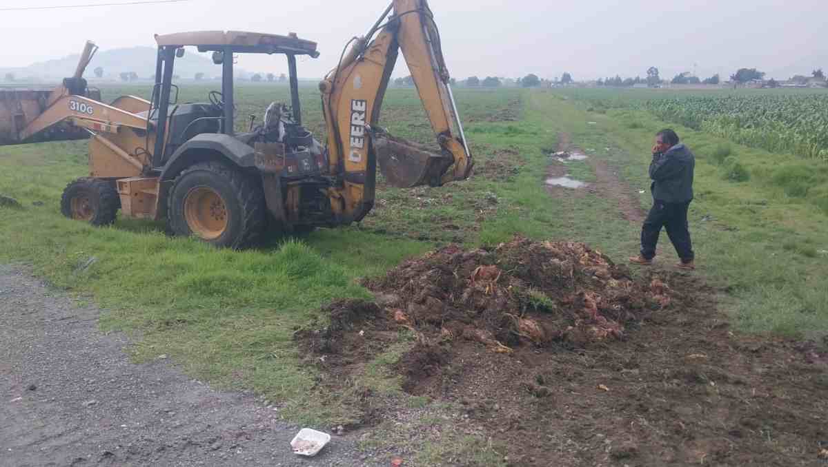 Transportistas fueron señalados por abandonar media tonelada de pollo en canal del Cutzamala. | Foto: Especial