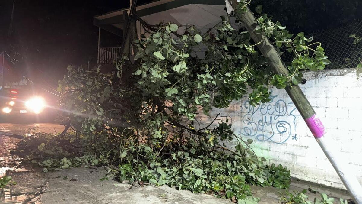 Afectaciones tras lluvias en Hidalgo. (Cortesía)