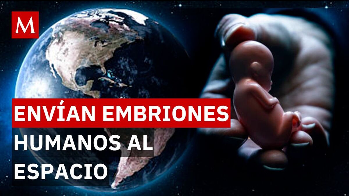 ¿El primer bebé espacial? El polémico experimento en la estación Tiangong bajo microgravedad