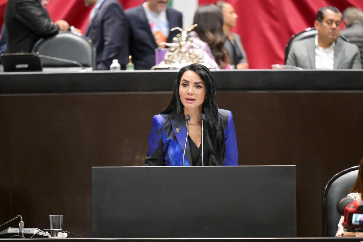 Gabriela Jiménez pidió respaldo para crear la Comisión de Verificación de Integridad en Candidaturas. | Foto: Especial
