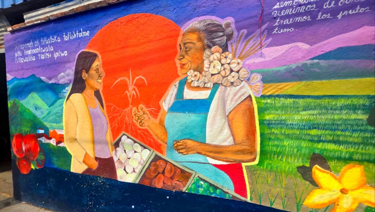 Murales retratan historias y tradiciones en 'La Purísima', Tehuacán | Especial
